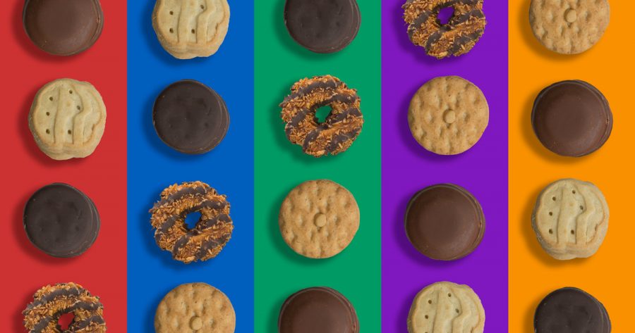 Girl Scouts are more than Cookies