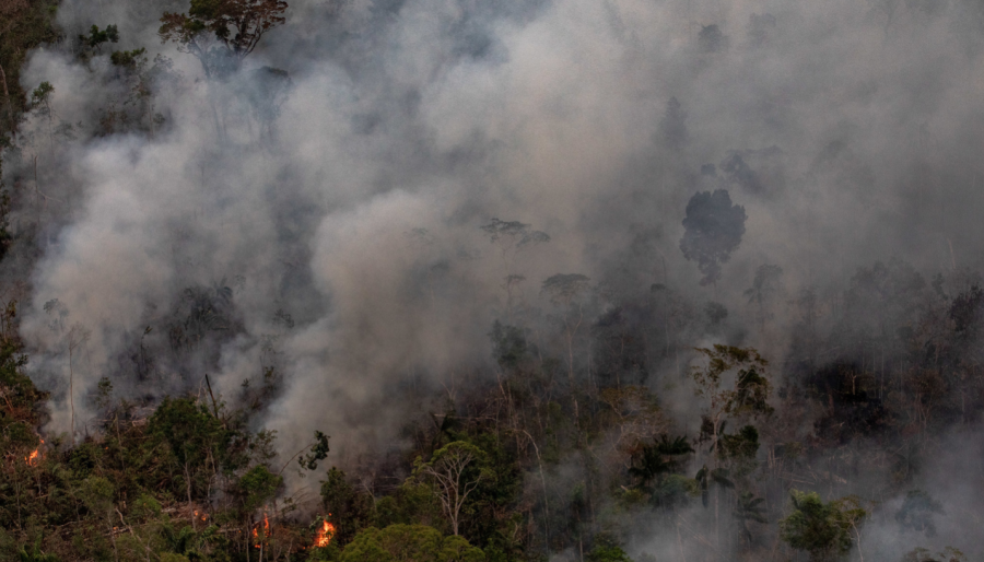 Amazon+Rainforest+Fire+Ravages+Wildlife