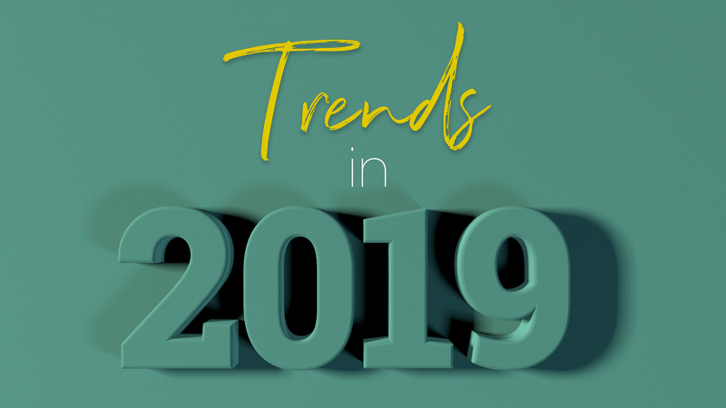 Trends that Teens Hop on in 2019: Are they fun and necessary or just over-hyped?