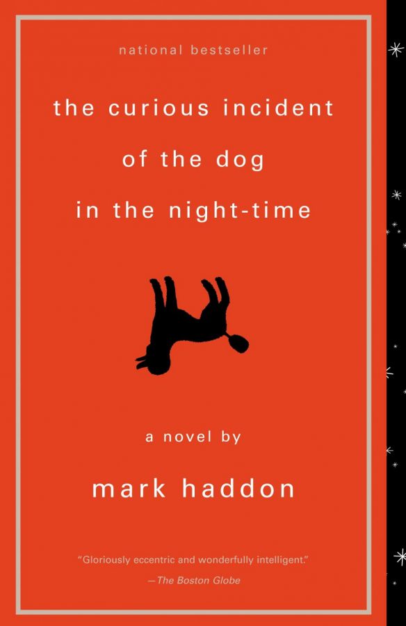 dog in the night book