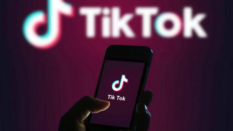 Teenagers Turned Mega Celebrities on TikTok