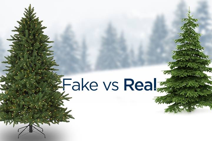 Whats Better, Real or Fake Christmas Trees?